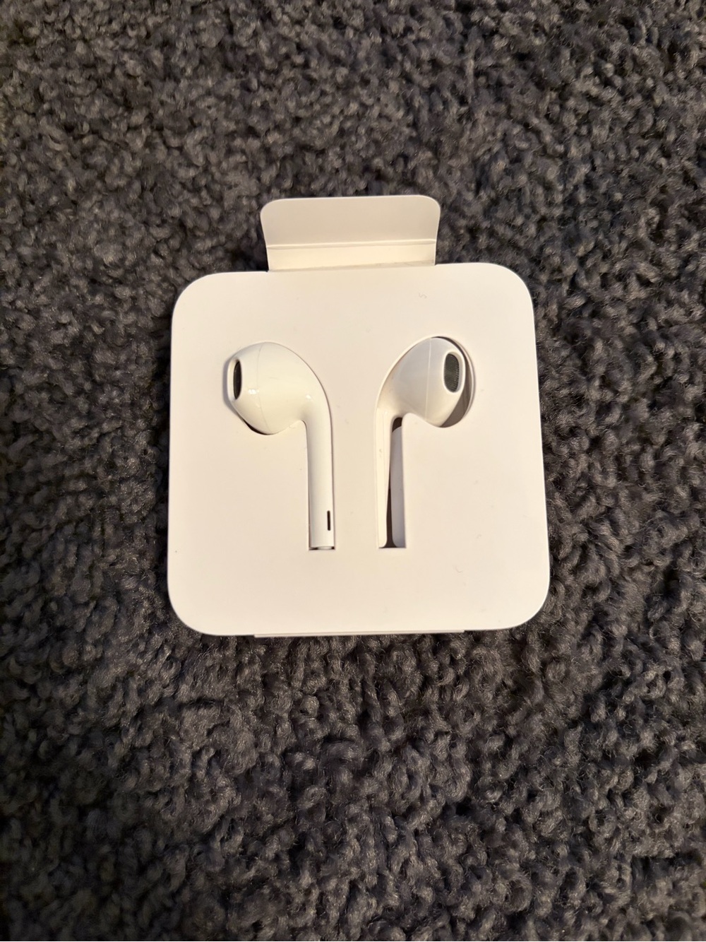 Apple White Wired Earbuds in Retail Packaging